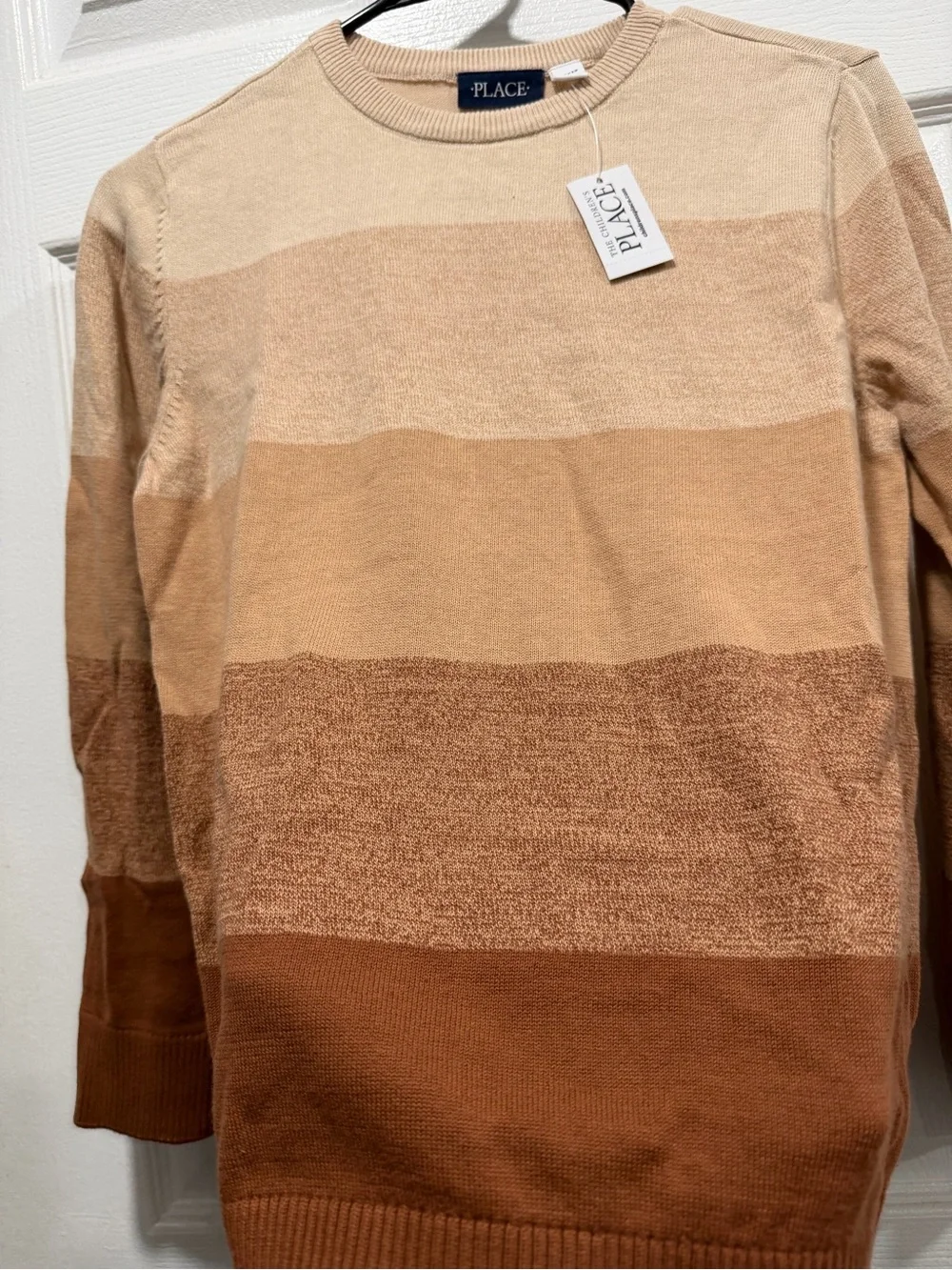 The Children's Place boys Ombre Brown Crewneck Sweater L